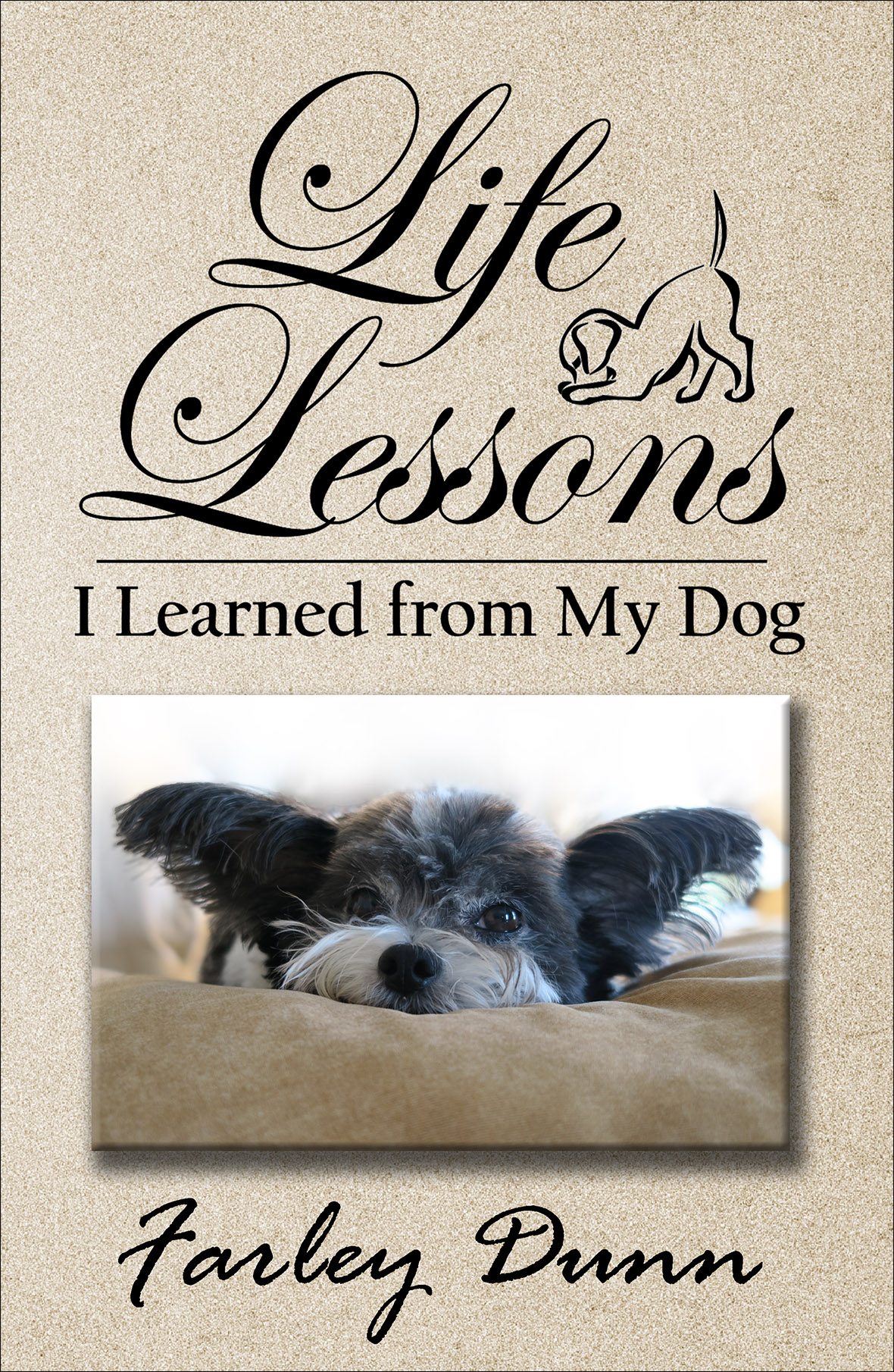 Life Lessons cover front reduced for web insertion