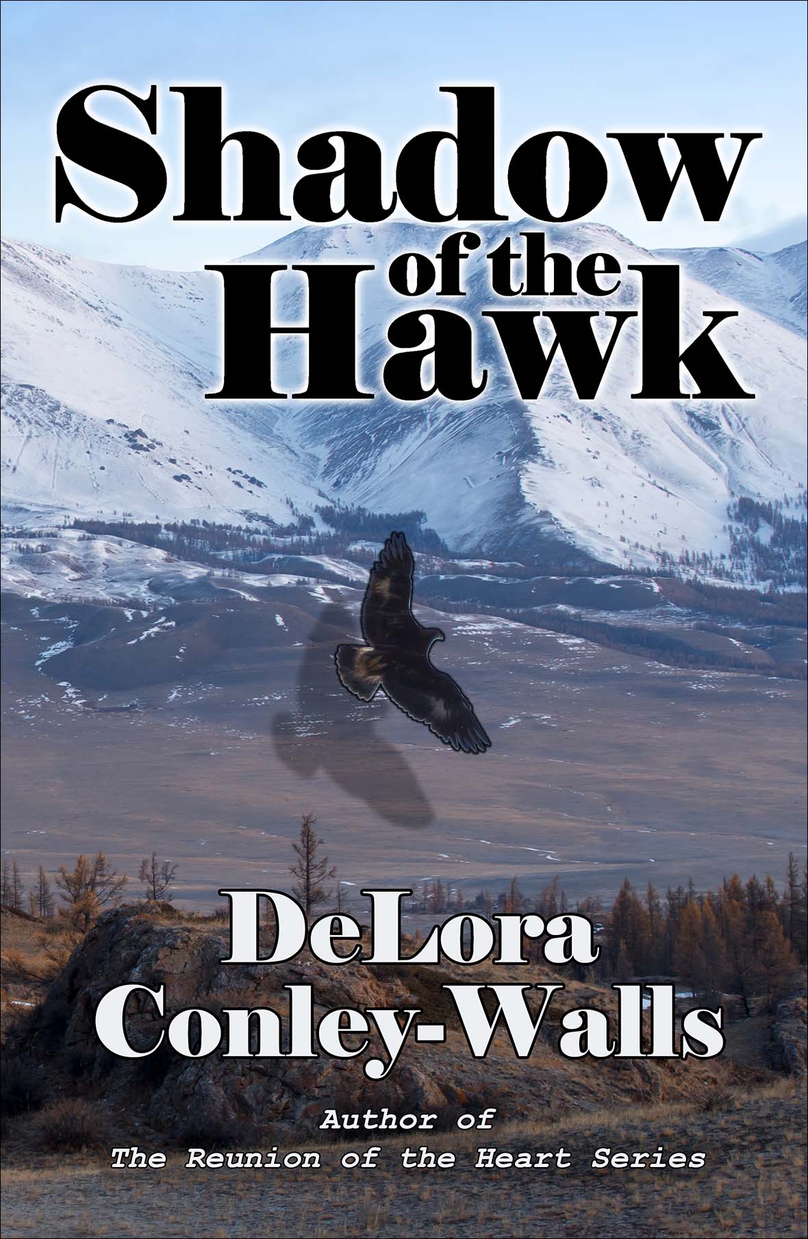 Shadow of the Hawk Cover front v13 for web insertion